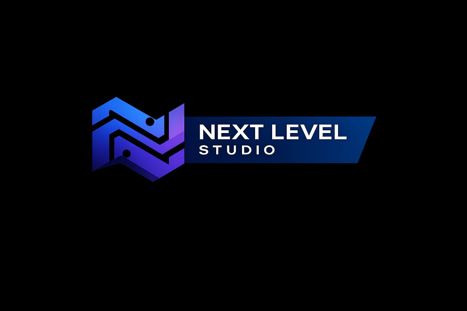 Logo Next Level Studio